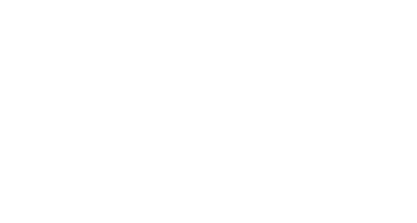 Fortis